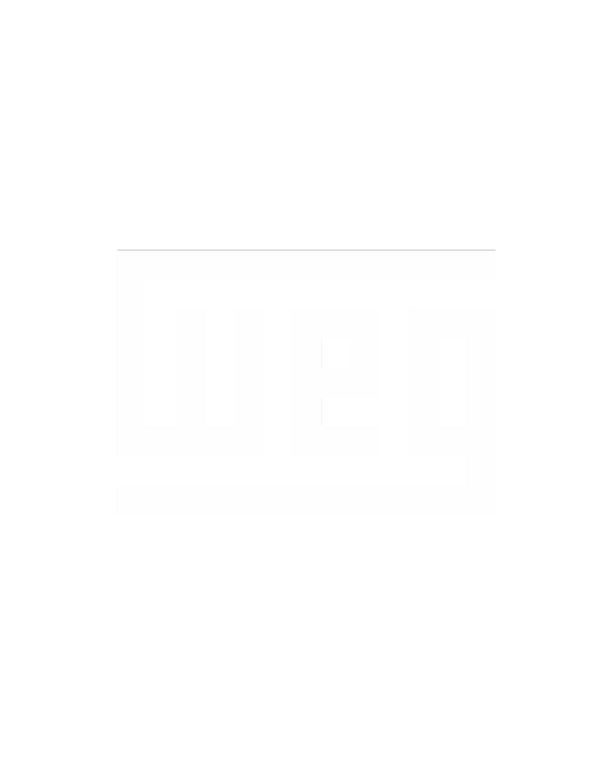 Logo 8